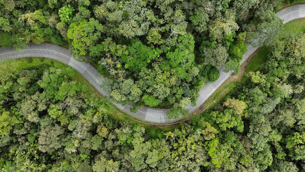 Viajar o Brasil de carro