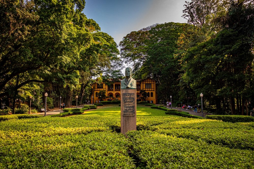 o que fazer com crianças em São Paulo 